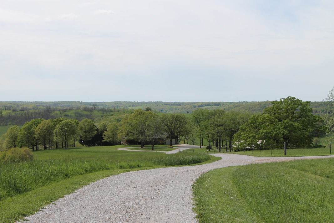 Ext31_IMG4410_1068w
