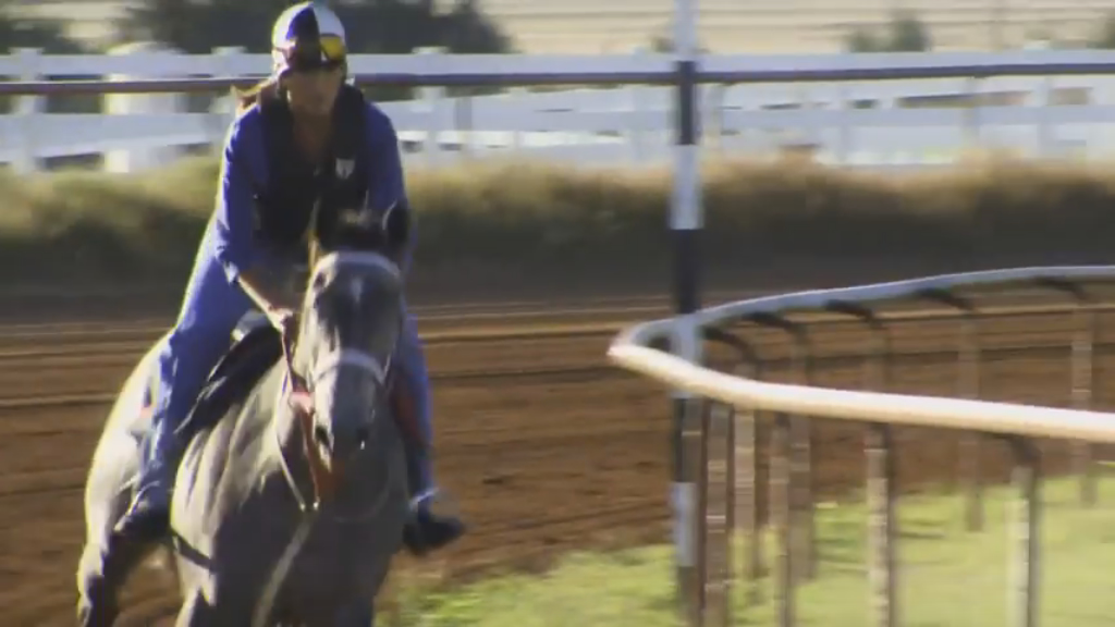 Ext15_DiamondG.Ranch_Horse.w.Rider.PurpleOutfit0_from.video_1024w_100p