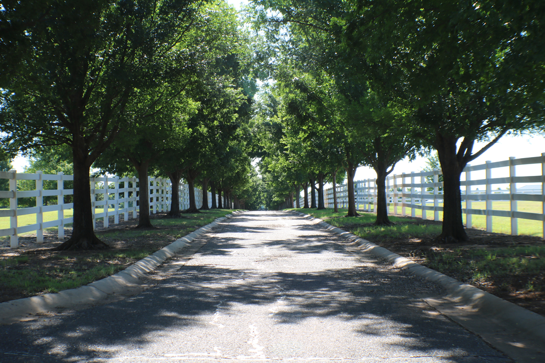 Ext3_Diamond.G.Ranch_IMG2953_1068w_100p