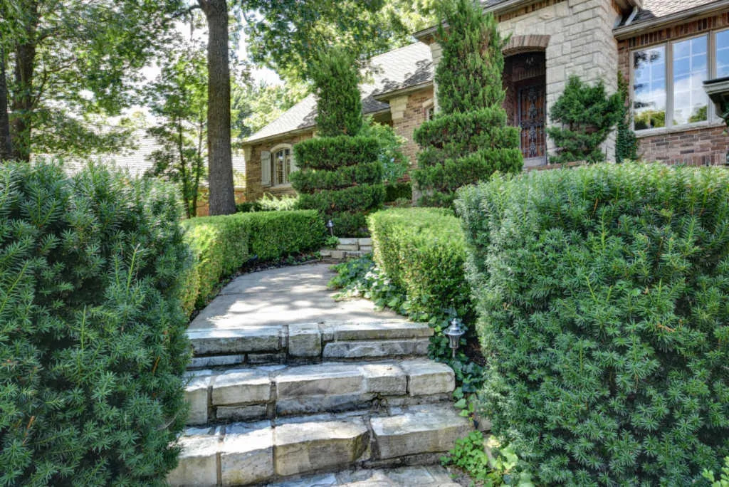 4FHE_StoneWalkway