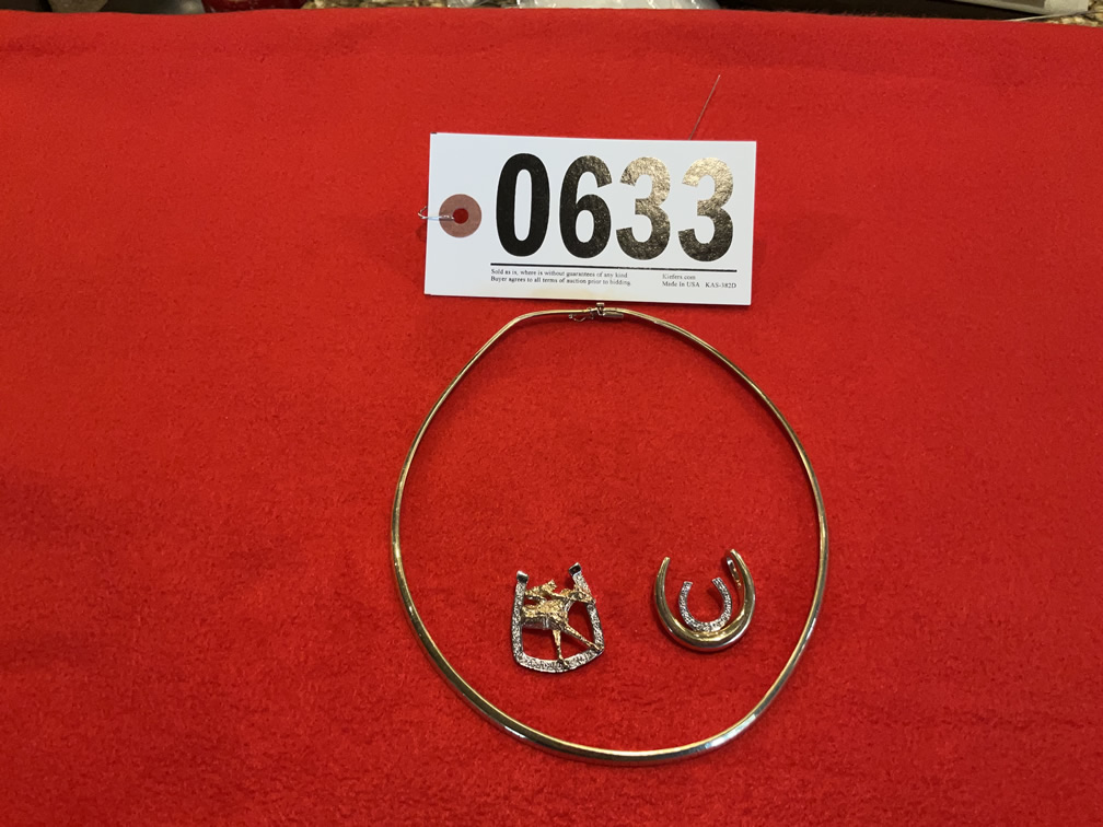 Western Pins w/Gold Chain