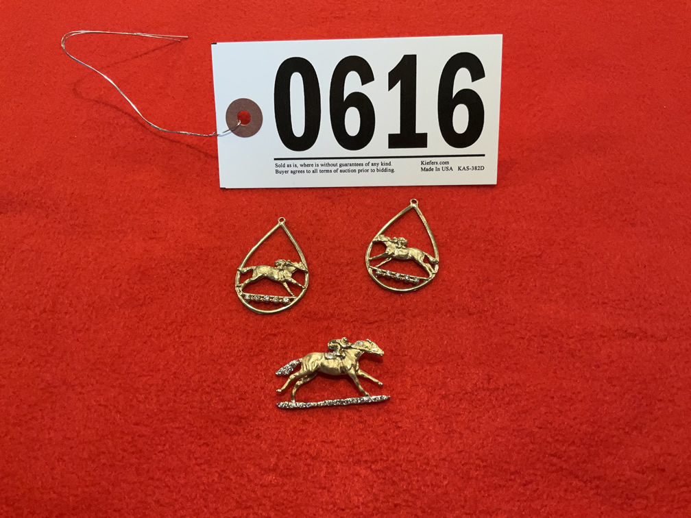 Western Earrings & Pin
