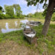 IMG_2125 IMG_2125